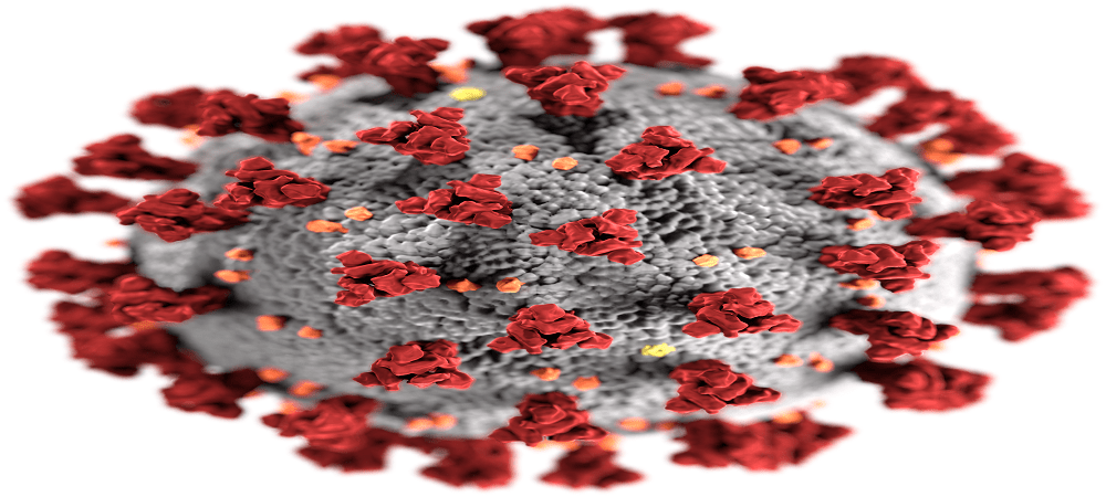 Illustration of the morphology of coronaviruses; the club-shaped viral spike peplomers, coloured red, create the look of a corona surrounding the virion, when observed with an electron microscope